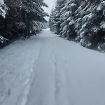 Le Petit De Borgoumont à *