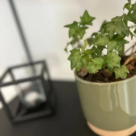 Casa vacanze Le Petit De Borgoumont à