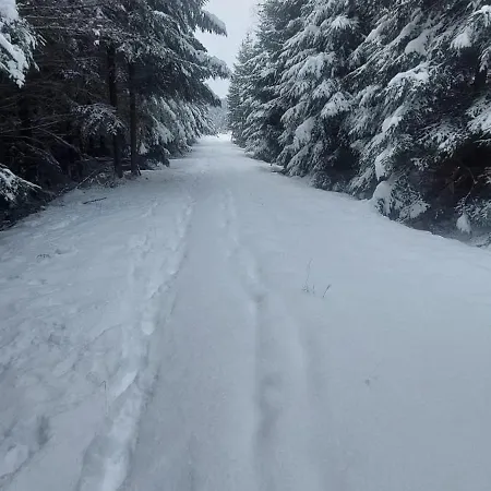 Le Petit De Borgoumont A *