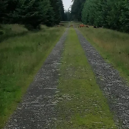 Le Petit De Borgoumont à *